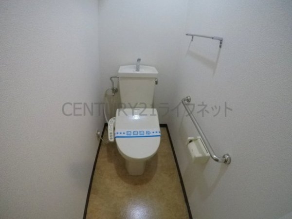 パルハセトン十三