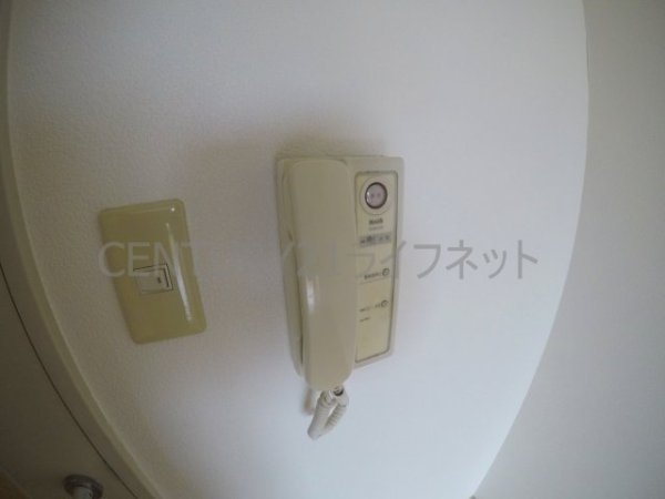 サウスフラット