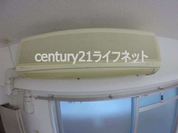 サウスフラット