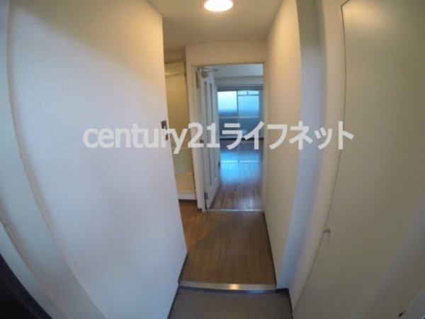 サウスフラット