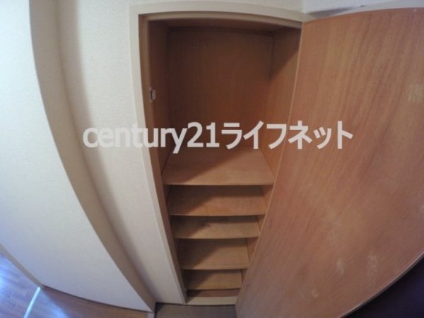 サウスフラット