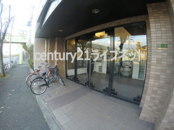 サウスフラット