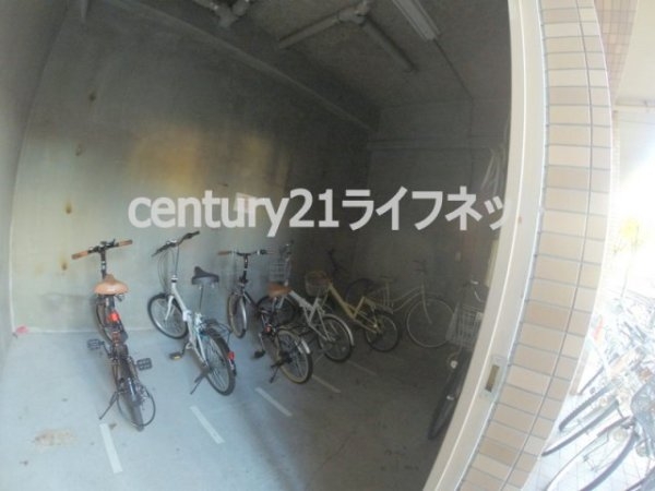 サウスフラット