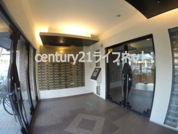 サウスフラット