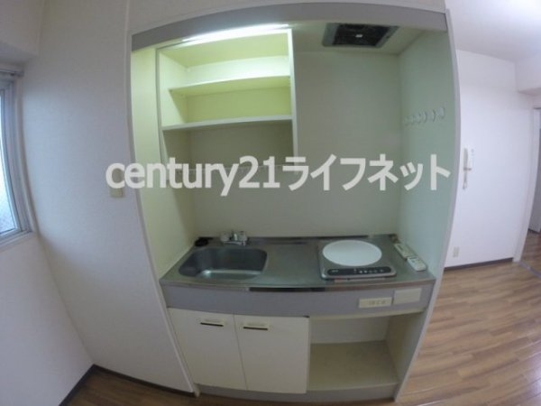 サウスフラット