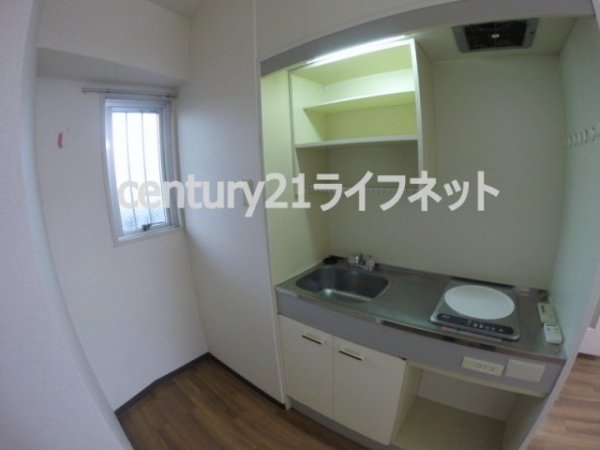 サウスフラット