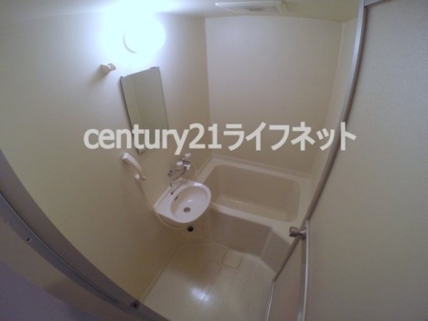 サウスフラット