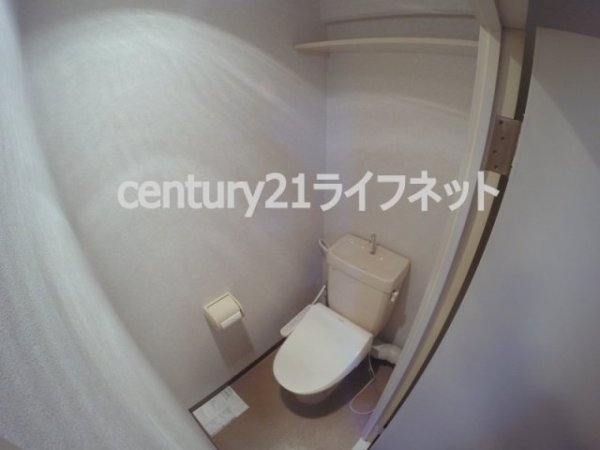 サウスフラット