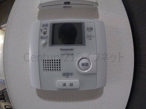 フェニックスコート