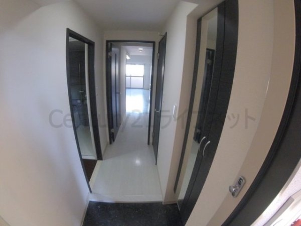 フェニックスコート