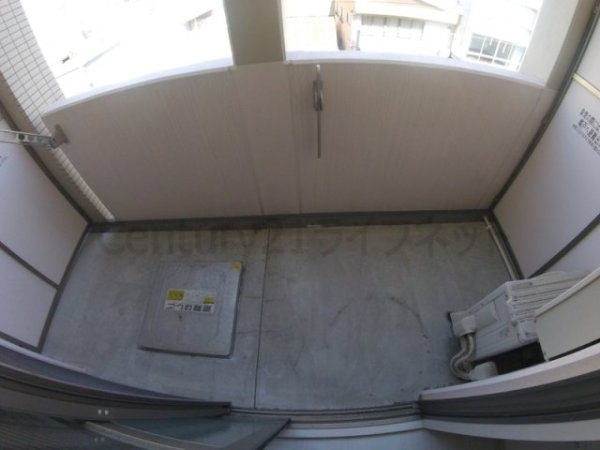 フェニックスコート