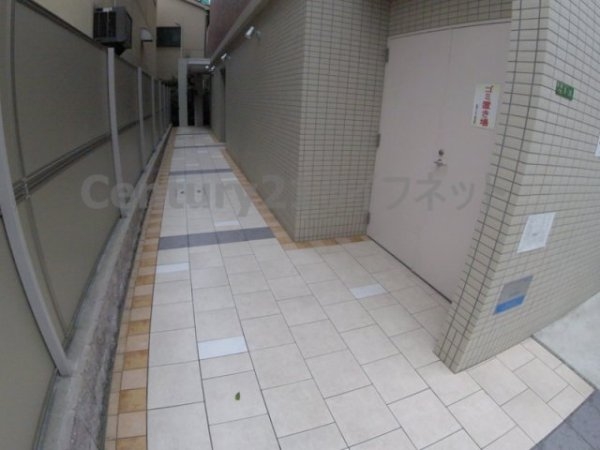 フェニックスコート