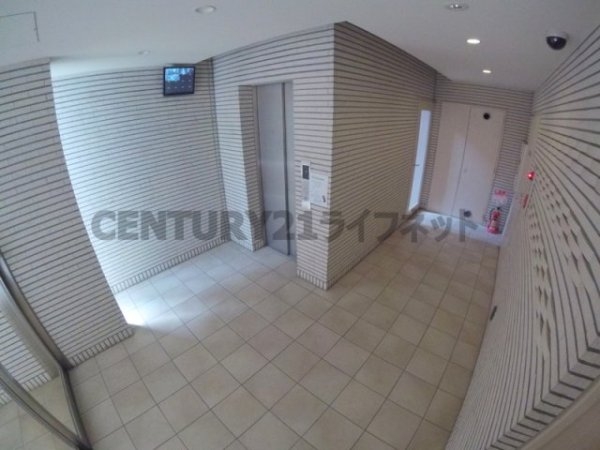 フェニックスコート