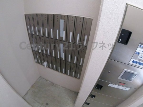 フェニックスコート