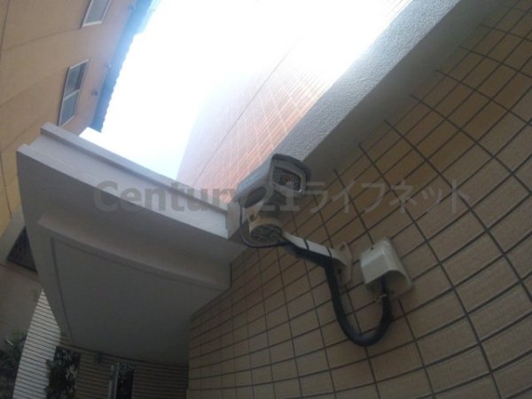 フェニックスコート