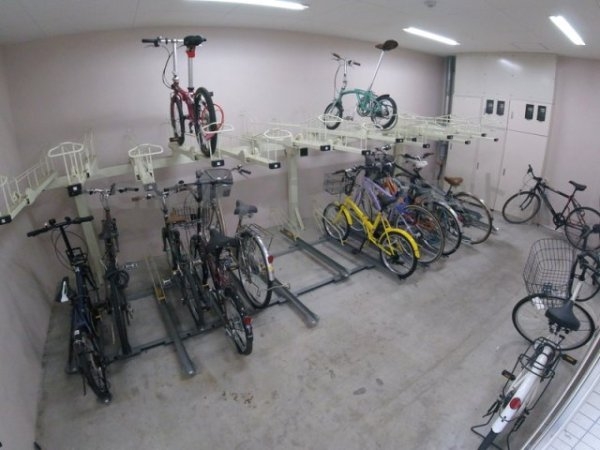 フェニックスコート