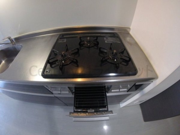 フェニックスコート