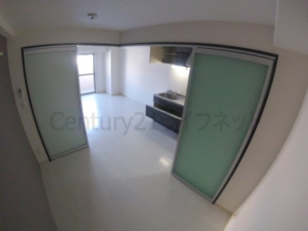 フェニックスコート