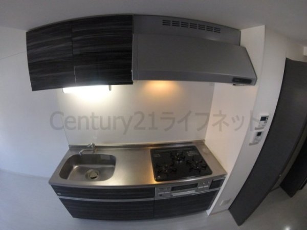 フェニックスコート