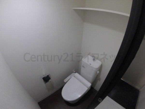 フェニックスコート