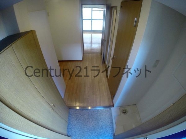 エクセレント上新12