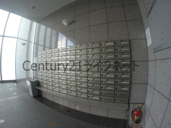 エクセレント上新12