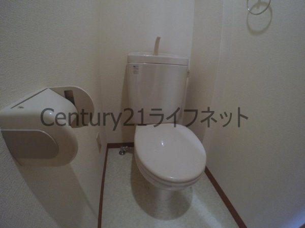 エクセレント上新12