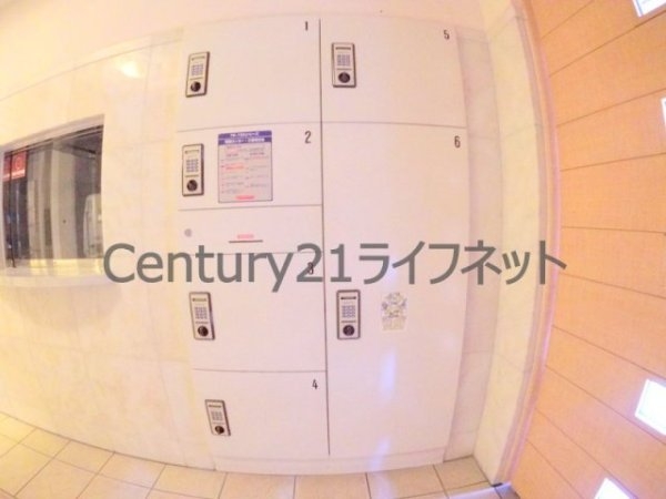 エイペックス梅田東