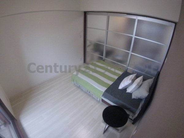 コンソラーレ同心