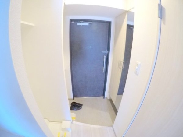 スプランディッド7