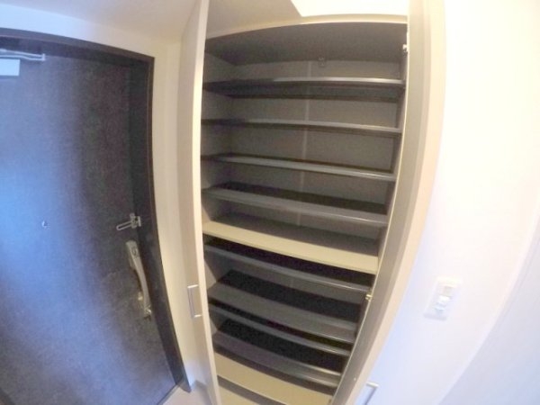 スプランディッド7