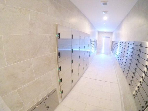 スプランディッド7