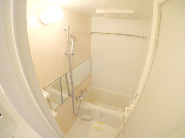 スプランディッド7