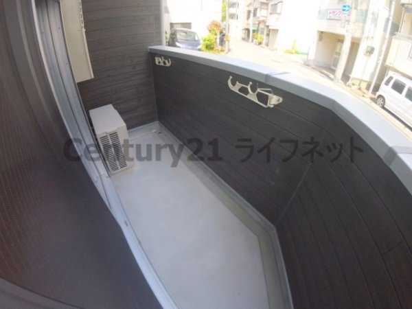 ウィズダムヒル新高