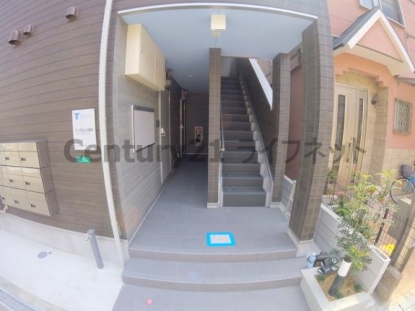 ウィズダムヒル新高