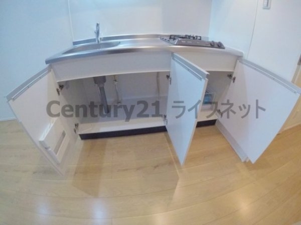 ウィズダムヒル新高