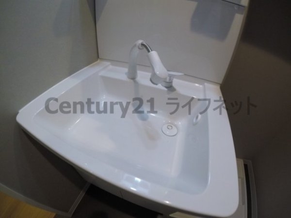 ウィズダムヒル新高