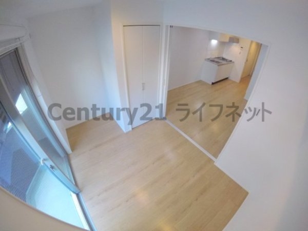 ウィズダムヒル新高