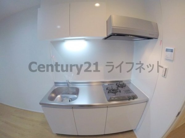 ウィズダムヒル新高