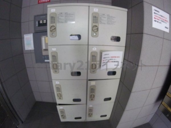 シティヒルズブライト