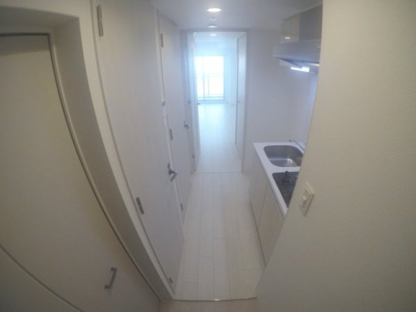 マキシブクロスエサカ