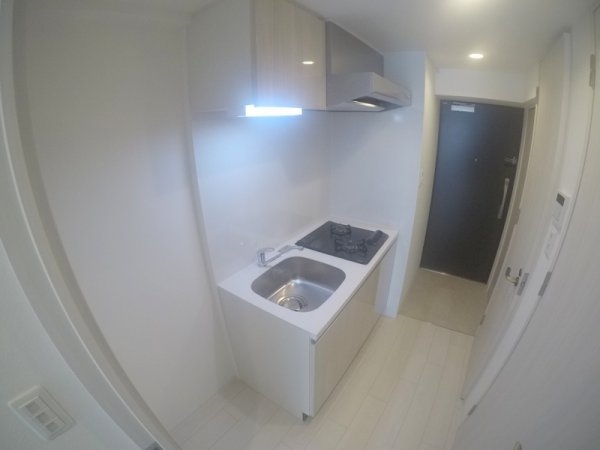 マキシブクロスエサカ