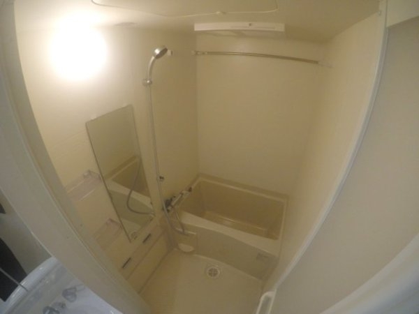 マキシブクロスエサカ