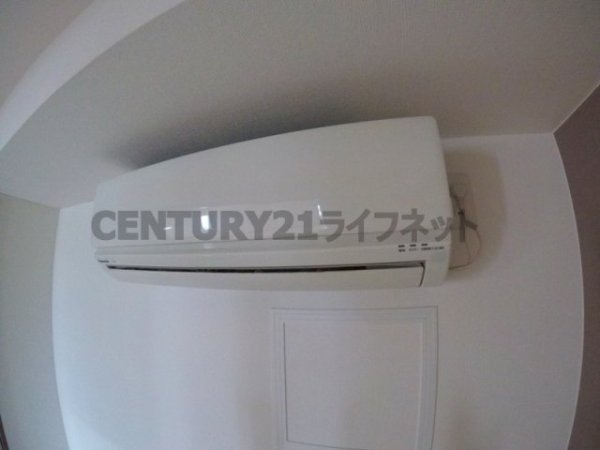 フェニックスコート