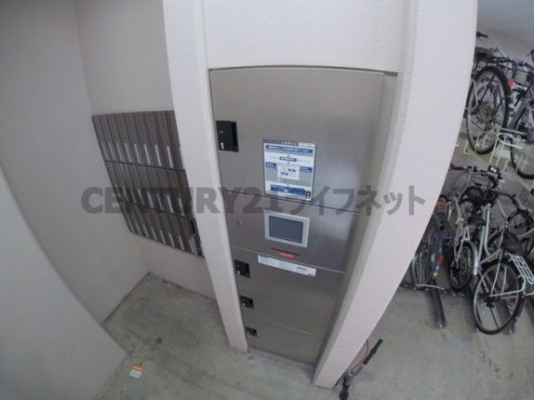 フェニックスコート