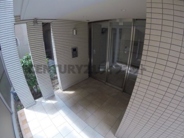 フェニックスコート