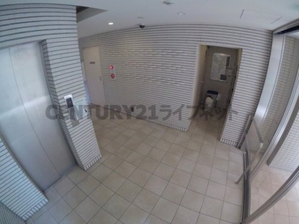 フェニックスコート