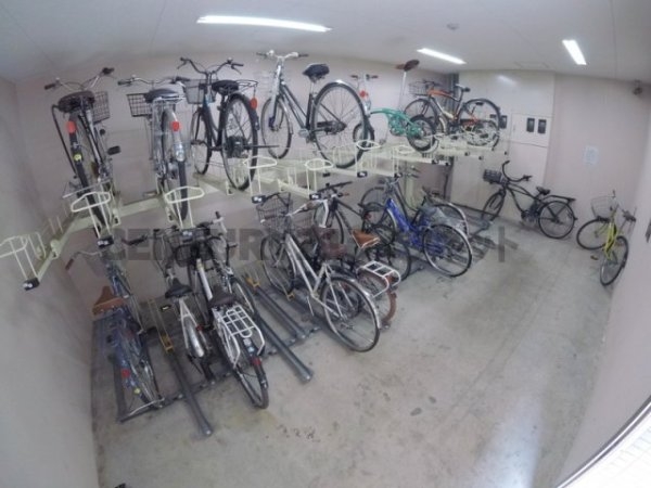 フェニックスコート