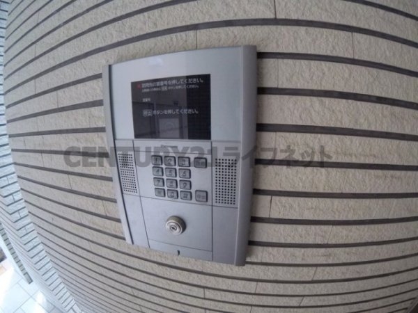 フェニックスコート