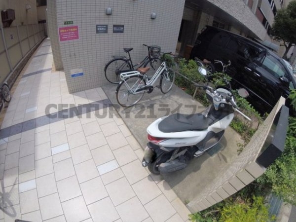 フェニックスコート